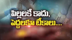పిల్లలకే కాదు, పెద్దలకూ టీకాలు | Vaccines Are Not Just for Children, but for Adults Too | Sukhibhava