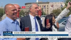 Vuçiqi përfshin në listën zgjedhore figura të lidhura me Sheshelin