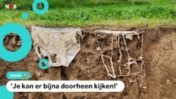 Dutchman wins prize for underwear research