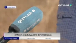 Жамбыл ауданында орақ науқаны қызды