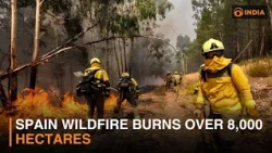 Spain wildfire burns over 8,000 hectares