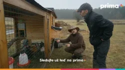 prima+ | Farma Vojty Kotka 🌾 Nová série UŽ TEĎ na prima+ a od 23. října na Primě 🧡