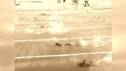 Highlighting the achievements of Rolando Milán in swimming (+sports)