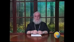 11 Cartas al director