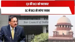 CJI की BCI को फटकार, SC ने BCI से मांगा जवाब