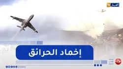 The People's National Army continues its efforts to extinguish forest fires across several wilayas