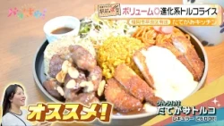 [Akira Okazawa’s Station-Front Diner] A Revenge Trip to 2 Restaurants!? Filming at Stores We’ve H...