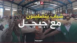 جيجل: إطلاق المركز الوطني الشبابي للتطوع والدعم