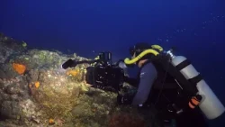 Modrý svět S5 Epizoda 6 | Noční rozmnožování korálů a odkaz seriálu Sea Hunt
