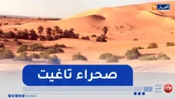 Bechar: "Taghit"... Where the Splendor of Nature Meets the Depth of History