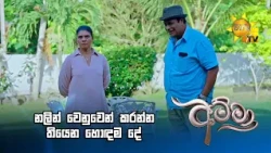 නලින් වෙනුවෙන් කරන්න තියෙන හොඳම දේ