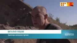 Террикон дауы