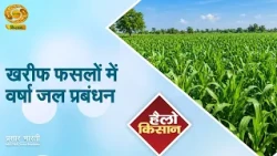 Hello Kisan: Rainwater Management in Kharif Crops | Increase Crop Production with Rainwater | DD ...