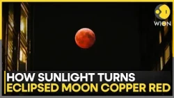 Deep Lunar Eclipse Captivates Global Skywatchers | WION News