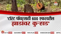 Special Report |'Torrent Powerसाठी 600 एकरवरील झाडांवर कुऱ्हाड' | Karjat Tree Cutting |Bhimashankar