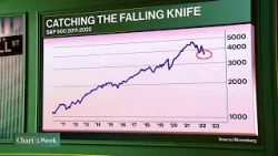 Chasing Stocks As Damaging As Selling At Bottom: Wilson
