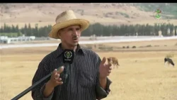 Tiaret: New Water Treatment Plant to Support Agricultural Activity