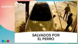 COUPLE Avoids ROBBERY Thanks to PET'S WARNING #BuenTelefe