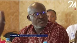 GABON ENVIRONMENT: A PROPOSAL FOR ADVOCACY TO IMPROVE THE SECTOR