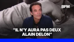 "Il n'y aura pas deux Alain Delon", déclare son fils, Anthony Delon sur BFMTV
