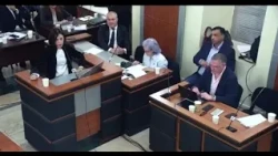 რომელ გზას აირჩევთ,  თქვენი გადასაწყვეტია - ანი წითლიძის სიტყვა პარტიების აკრაძალვის საქმეზე
