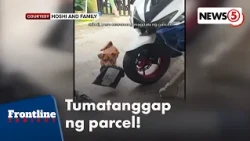 Asong marunong tumanggap ng parcel, mag-unbox, kinaaaliwan! | Frontline Tonight