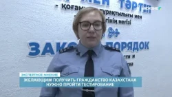 EXPERT OPINION | Anna Popova - 08/11/2026