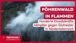 Föhrenwald in flames: Hundreds of emergency personnel fight embers in Lower Austria