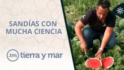 Land and Sea | Science-Backed Watermelons