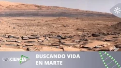 0000156110___conciencia-09132026_0834_0000