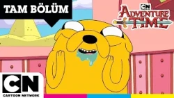 ADVENTURE TIME | Tombiş Fil | TAM BÖLÜM | @cartoonnetworkturkiye