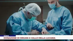 HEALTHCARE. ORGAN DONATION IN VALLO DELLA LUCANIA