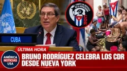 CUBA A PUNTO DEL COLAPSO Y BRUNO RODRÍGUEZ CELEBRA LOS CDR DESDE NUEVA YORK