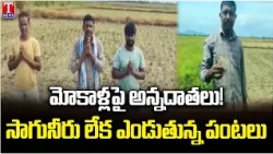 Farmers on Their Knees as Crops Dry Up Due to Lack of Irrigation Water Under Cong Gvt  | T News