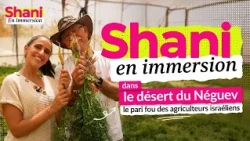 Shani en immersion | Épisode 1 - Dans le désert du Négev !