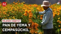Day of the Dead boosts rural tourism in the volcano region of Edomex | Milenio Hábitat