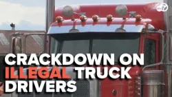 ‘We’re gonna come for you’: Duffy warns illegal truck drivers