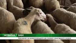 БАБХ: Напомнят на животновъдите да спазват санитарните мерки