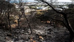 Tunisia records 900 fires in 72-hour window during intense heatwave