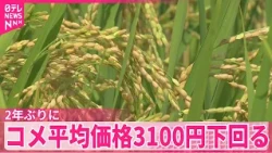 【コメ平均価格】4週連続値下がり  2年ぶりに3100円下回る  今後も価格の下落基調は続くか