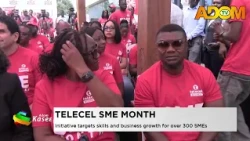 Telecel SME Month: Initiative targets skills and business growth for 300 SMEs - Evening News