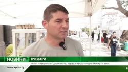 ПЧЕЛАРИ: Искат подкрепа от държавата, заради предстоящия масиран внос