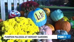 Pumpkin Palooza returns to Hershey Gardens