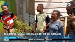THREE BAUBAU RESIDENTS INJURED BY FALLING TREE