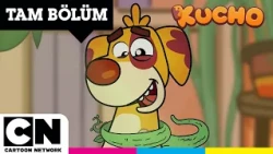 KUCHO | Sırnaşık Sarmaşık | TAM BÖLÜM | @cartoonnetworkturkiye