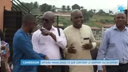 🔵 MBANI ZOGO CASE: Revelations from the 33rd witness, cybercrime expert Jean-Pierre OLOUMOU