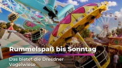 Beer garden, 7D cinema and discounts at the Dresdner Vogelwiese I Sachsen Fernsehen