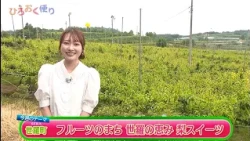 Episode 508: Hiro-Oku News - Sera Town, City of Fruit - The Bounty of Sera: Pear Sweets