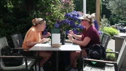 De Lunterse Boer in Terrace Top 100