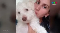 Puppy stolen and it was all caught on video
